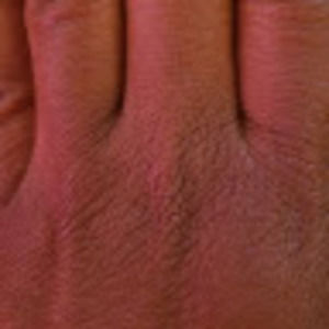 Meet your Posher, Shelly